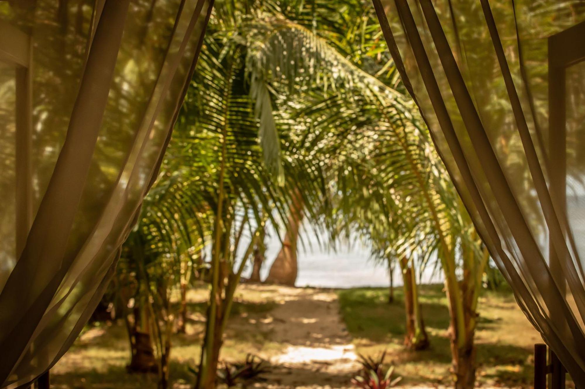 The Beach House Ocam Ocam Busuanga Kültér fotó